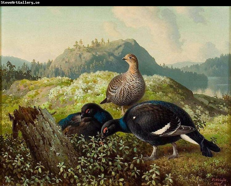 Ferdinand von Wright Black Grouses